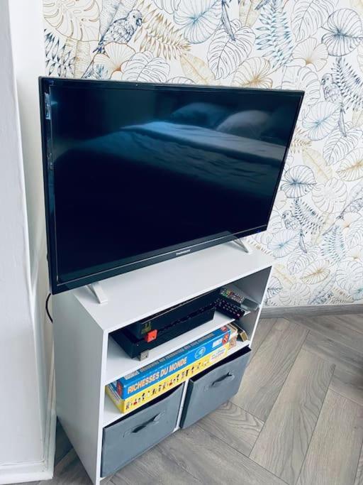 Bel Appartement Dunkerque Centre, En Citadelle ダンケルク エクステリア 写真